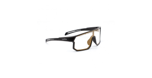 Окуляри LYNX Bismarck PH B matt black/#1 smoke photochromic with gold revo